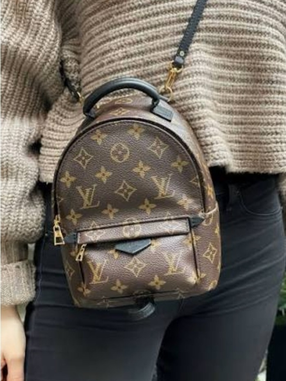 Louis Vuitton Monogram Mini Backpack in Brown and Black